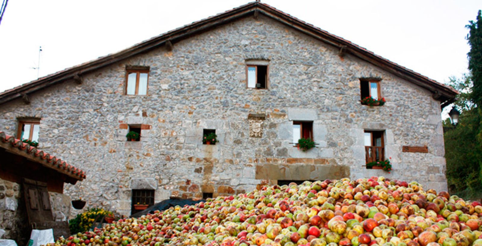 Buscar Sidrerías en Euskadi. Sidrerias.ws