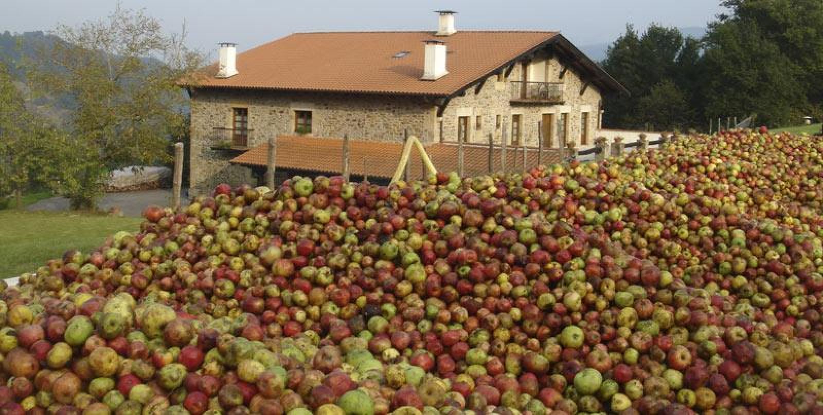 Buscar Sidrerías en Euskadi. Sidrerias.ws